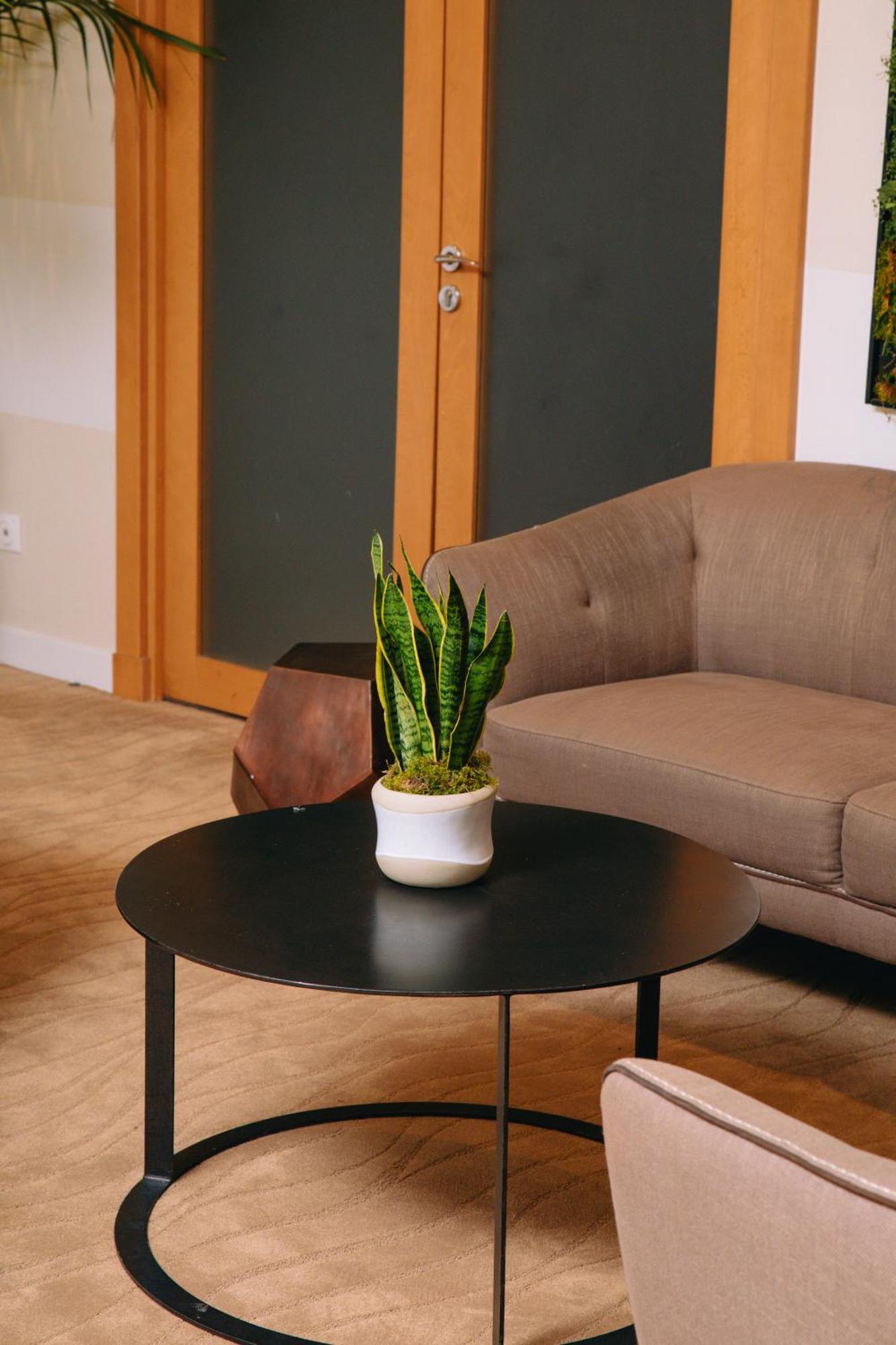 קורבוו Fraser Suites Paris La Defense מראה חיצוני תמונה Sansevieria trifasciata